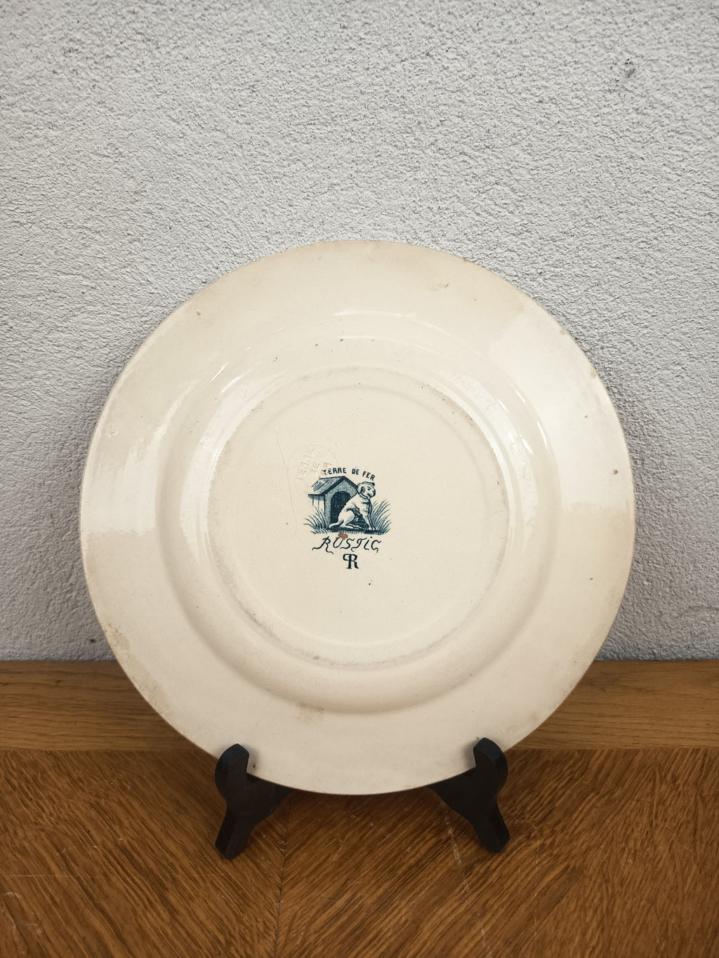Assiette ancienne Terre de Fer Salins – Modèle Rustic – Décor canards
